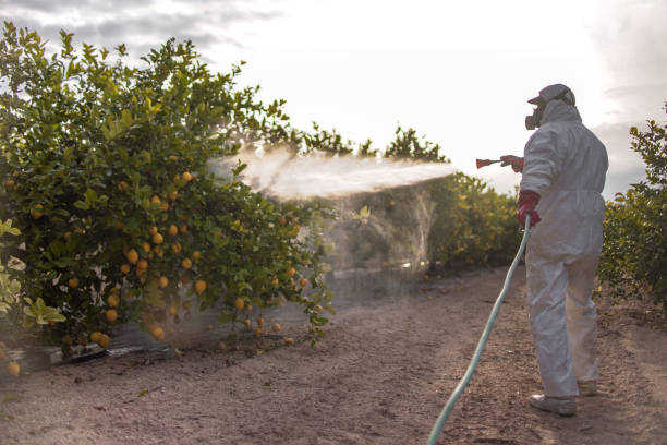 Best Best Pest Control Companies  in Milwaukie, OR