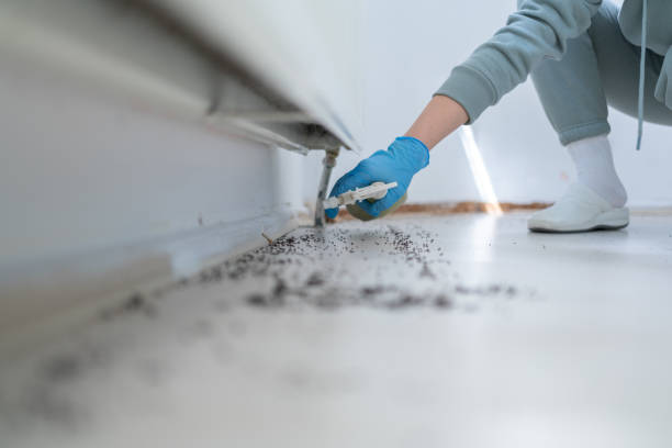 Reliable Milwaukie, OR Pest Control Solutions